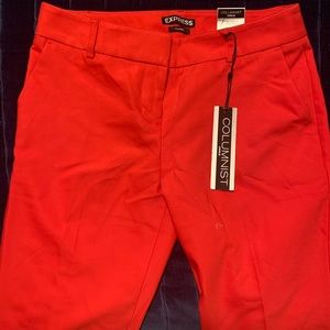 Express Columnist Ankle Pants